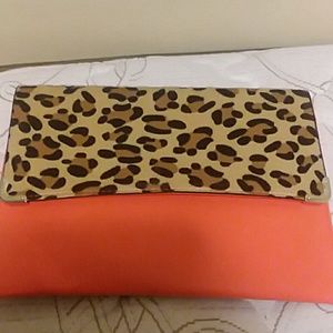 sassy clutch or purse